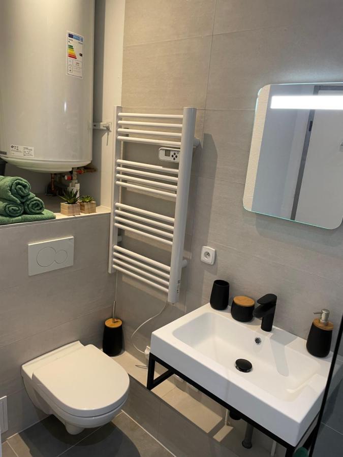 Chaleureux F2 Dans L'Hypercentre Colmarien Apartment Luaran gambar